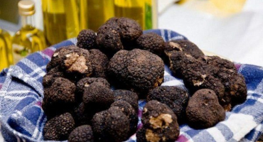 Popis a hodnota černého lanýže. Jak vypěstovat lahůdku na vaší zahradě?